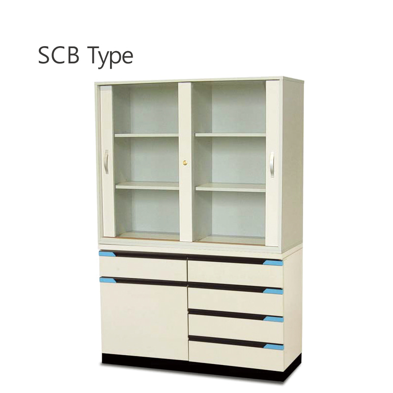 시약장, SCB TypeStorage Cabinet목재형w900 x d430 x h1800mm Model: SCB900