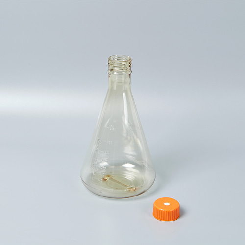 [Corning] 코닝 셀 컬쳐(세포배양용) 삼각 플라스크 Cell Culture Flask