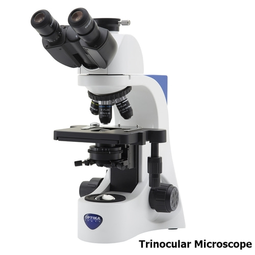 [Optika] 실험실 생물 현미경 Biological Microscope for Laboratory