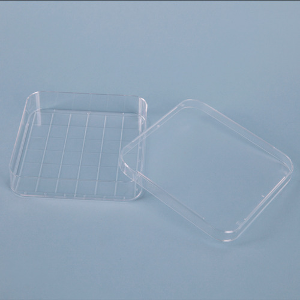사각 페트리 디쉬 플라스틱 Polystyrene Square Petri Dish